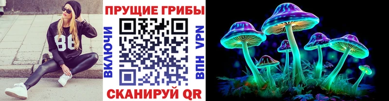 Купить закладки  Южно-Сухокумск  Псилоцибиновые грибы Psilocybe 